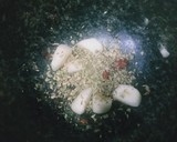 Foto del paso 2 de la receta: Pollo macerado y rebozado 💪💪