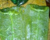 Foto del paso 2 de la receta: Como tatemar los chiles poblanos y cuaresmenos ahorrando tiempo