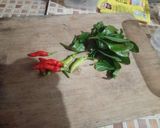 Foto langkah ke 1 dari resep Seblak Ayam.