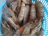 Udang Mentega Praktiiss