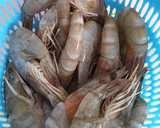 Foto langkah ke 1 dari resep Udang Mentega Praktiiss.