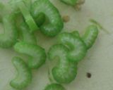 Foto del paso 2 de la receta: Pasta a la crema