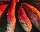 Hình bước làm 2 của món Khoai Lang Nướng