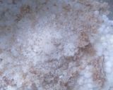 A picture of step 3 of Farali Sabudana Khichdi.