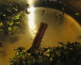 A picture of step 2 of Cinnamon green tea.