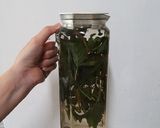 薄荷香草茶的食譜步驟4照片