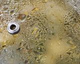 A picture of step 11 of Methi Chicken.