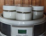 Foto del paso 6 de la receta: 🫙🦠Yogur natural sin endulzar a partir de iniciador - Fermento liofilizado - Sin conservantes 🦠🫙