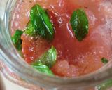 A picture of step 5 of Watermelon mint mojito.