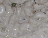 A picture of step 3 of #Pasta.