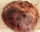Foto langkah ke 21 dari resep Double Chocolate Sourdough Bread (80%).
