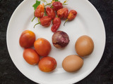 Egg Sauce (Egg Stew)