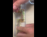 Foto del paso 2 de la receta: Coca de anchoas y guacamole (de Paco Roncero)