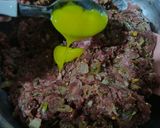 Foto del paso 6 de la receta: 13/07📅🍔Hamburguesas Caseras🍔