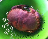 Foto del paso 3 de la receta: Buey de mar cocido para Navidad