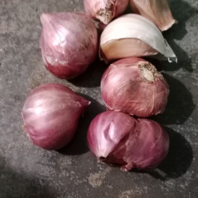 Langkah 1