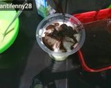 Foto langkah ke 5 dari resep Minuman Kekinian Matcha Milk Coffee Ala St*rbuck.