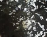 A picture of step 1 of Red spicy Chicken 65.
