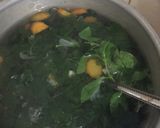 Foto langkah ke 3 dari resep 36. Sayur Bening Kelor & Katuk.