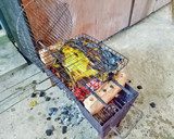 Foto langkah ke 5 dari resep Ikan Bakar Kalimantan Bumbu Khas Dayak.