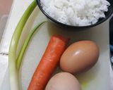 Foto langkah ke 1 dari resep Dadar Telur Nasi Wortel ala Aa.