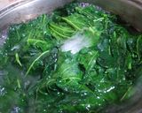Foto langkah ke 3 dari resep Sayur daun pepaya santan.