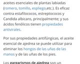 Foto del paso 2 de la receta: Infusión de sajolida y manzanilla de mahón