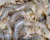 Foto langkah ke 1 dari resep Udang Goreng Bumbu Kuning.