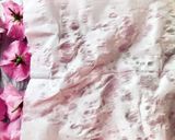 Hình bước làm 3 của món 🌱 Hoa Anh Đào Muối Nhật Bản (Japonais Traditionnel Salé Sakura)