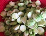 Foto del paso 1 de la receta: Repollitos en conserva