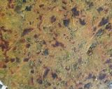 લસણીયા થેપલા (Lasaniya Thepla Recipe In Gujarati) રેસીપી સ્ટેપ4ફોટો