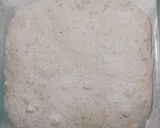 Foto langkah ke 15 dari resep Wijen Italian Herbs Cheese Sourdough Bread (Open Bake Method).
