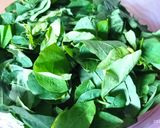 Foto langkah ke 1 dari resep Sayur bening daun katuk dan sawi putih.