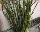 Foto del paso 1 de la receta: Col ♻️ con salsa de espárragos silvestres