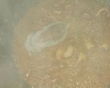 Foto del paso 3 de la receta: Arroz caldoso de langostinos y sepia