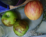 Foto del paso 1 de la receta: Torta de manzana súper fácil y rica!!! 🍎🍏