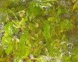 ઉકાળો (Ukalo Recipe In Gujarati) રેસીપી સ્ટેપ4ફોટો