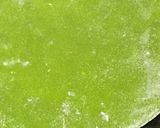 A picture of step 4 of Palak Paneer Paratha.