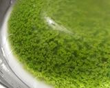Foto langkah ke 3 dari resep Puding Lumut.
