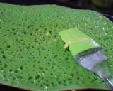 Foto langkah ke 6 dari resep Martabak Manis Teflon / Terang Bulan Lembut Menul.