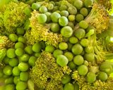 A picture of step 1 of Veggies broccoli almond soup.