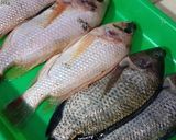 Foto langkah ke 1 dari resep Sup Nila.