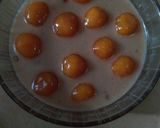 Foto langkah ke 8 dari resep Kolek biji salak.