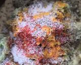 A picture of step 3 of Moong thaalipeeth.