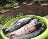 Foto langkah ke 1 dari resep Ikan Nila Presto by tmw kitchen.