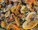 Foto langkah ke 1 dari resep Kerang Kupas Ala Warteg.