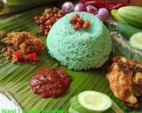 Cara Membuat Nasi Lemak Pandan Upin Ipin 4