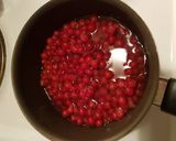 Foto langkah ke 1 dari resep Redcurrant syrup.