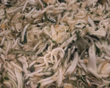 Foto del paso 5 de la receta: Salsa dulce de calabacín y jengibre