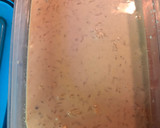 Foto del paso 4 de la receta: Arroz con leche